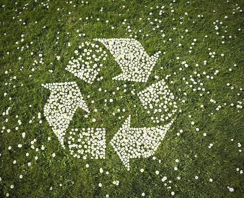 Social Responsibility