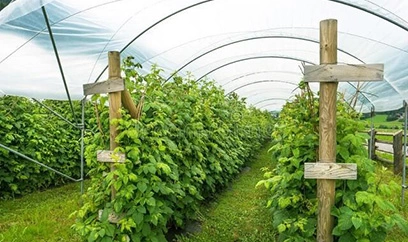 Agricultural